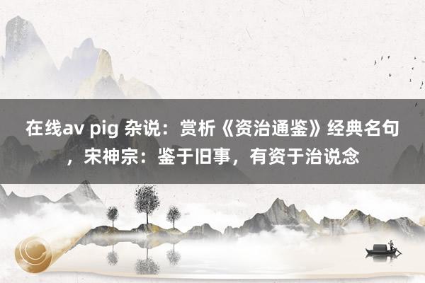 在线av pig 杂说：赏析《资治通鉴》经典名句，宋神宗：鉴于旧事，有资于治说念