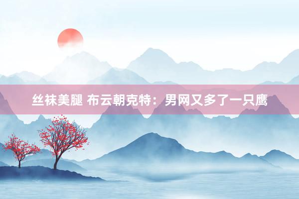 丝袜美腿 布云朝克特：男网又多了一只鹰