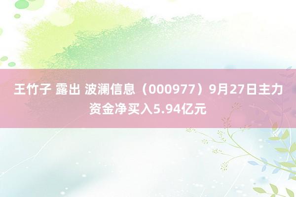 王竹子 露出 波澜信息（000977）9月27日主力资金净买入5.94亿元