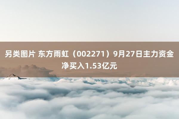 另类图片 东方雨虹（002271）9月27日主力资金净买入1.53亿元