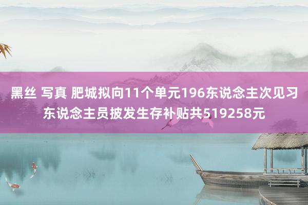 黑丝 写真 肥城拟向11个单元196东说念主次见习东说念主员披发生存补贴共519258元