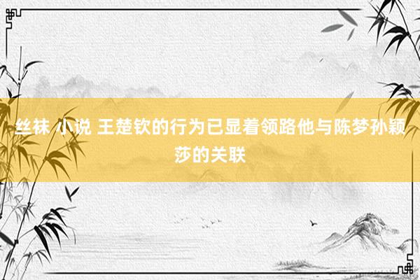 丝袜 小说 王楚钦的行为已显着领路他与陈梦孙颖莎的关联