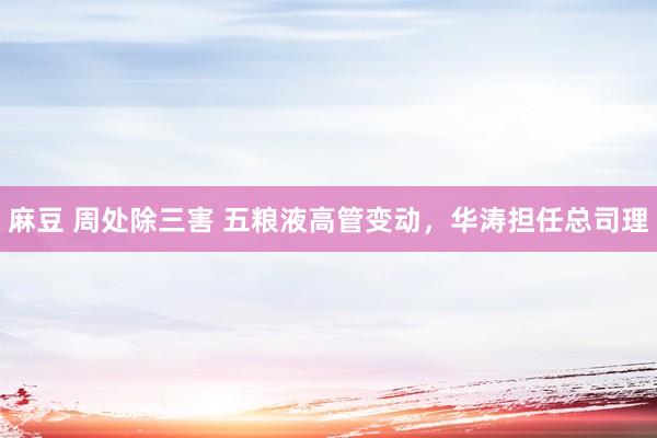 麻豆 周处除三害 五粮液高管变动，华涛担任总司理