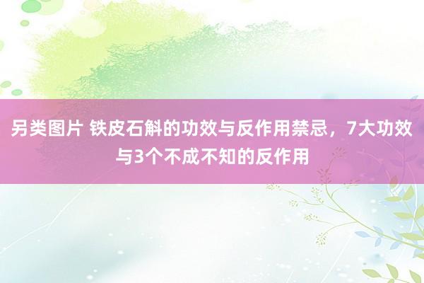另类图片 铁皮石斛的功效与反作用禁忌，7大功效与3个不成不知的反作用