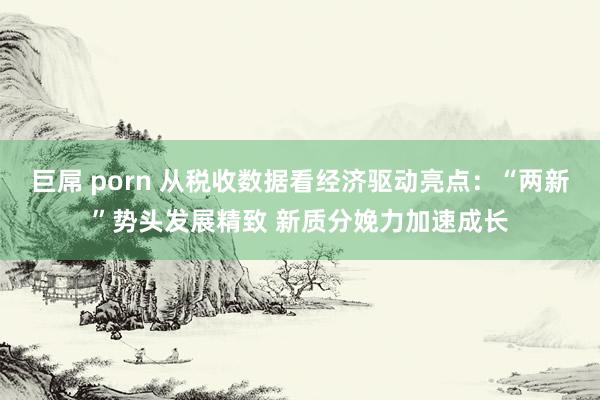 巨屌 porn 从税收数据看经济驱动亮点：“两新”势头发展精致 新质分娩力加速成长