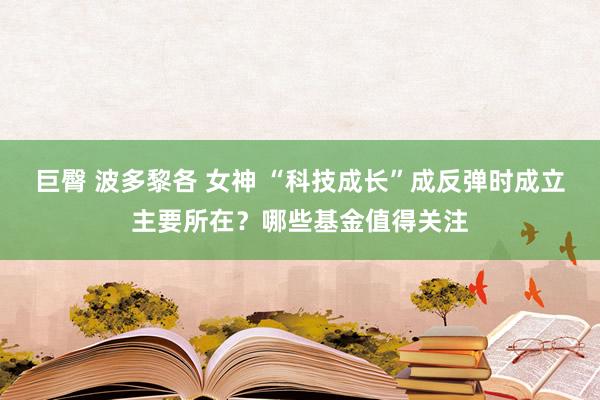 巨臀 波多黎各 女神 “科技成长”成反弹时成立主要所在？哪些基金值得关注
