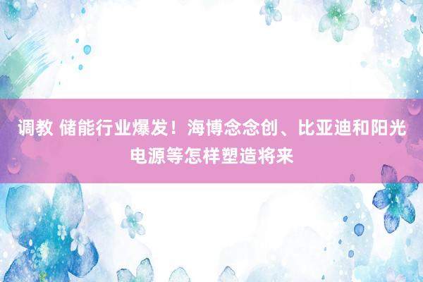 调教 储能行业爆发！海博念念创、比亚迪和阳光电源等怎样塑造将来