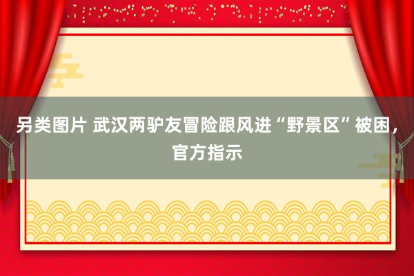另类图片 武汉两驴友冒险跟风进“野景区”被困，官方指示
