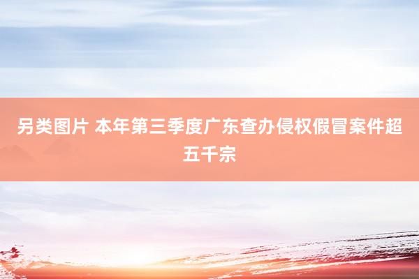 另类图片 本年第三季度广东查办侵权假冒案件超五千宗