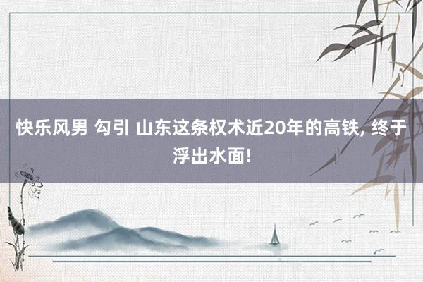 快乐风男 勾引 山东这条权术近20年的高铁， 终于浮出水面!