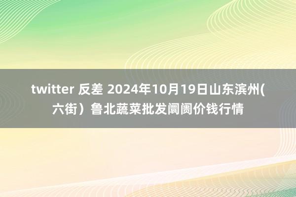 twitter 反差 2024年10月19日山东滨州(六街)鲁北蔬菜批发阛阓价钱行情