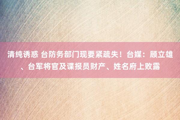 清纯诱惑 台防务部门现要紧疏失！台媒：顾立雄、台军将官及谍报员财产、姓名府上败露