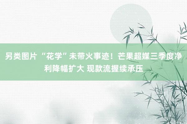 另类图片 “花学”未带火事迹！芒果超媒三季度净利降幅扩大 现款流握续承压