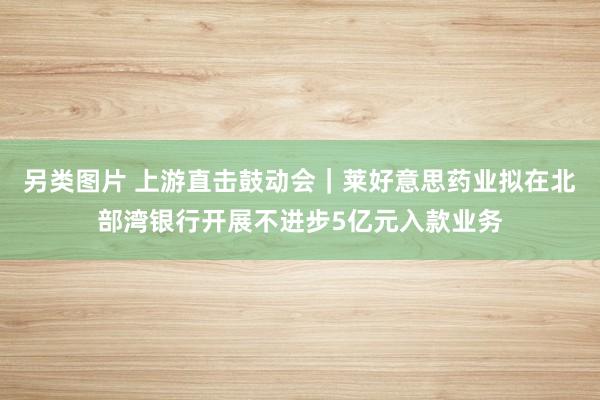 另类图片 上游直击鼓动会｜莱好意思药业拟在北部湾银行开展不进步5亿元入款业务