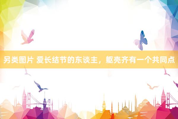 另类图片 爱长结节的东谈主，躯壳齐有一个共同点