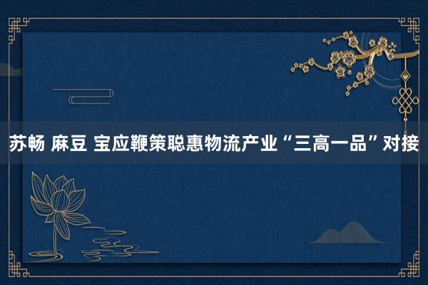 苏畅 麻豆 宝应鞭策聪惠物流产业“三高一品”对接