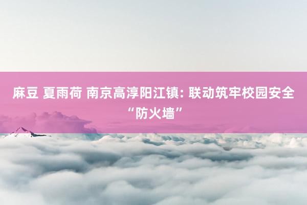 麻豆 夏雨荷 南京高淳阳江镇: 联动筑牢校园安全“防火墙”