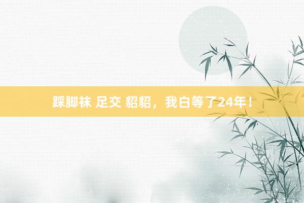 踩脚袜 足交 貂貂，我白等了24年！