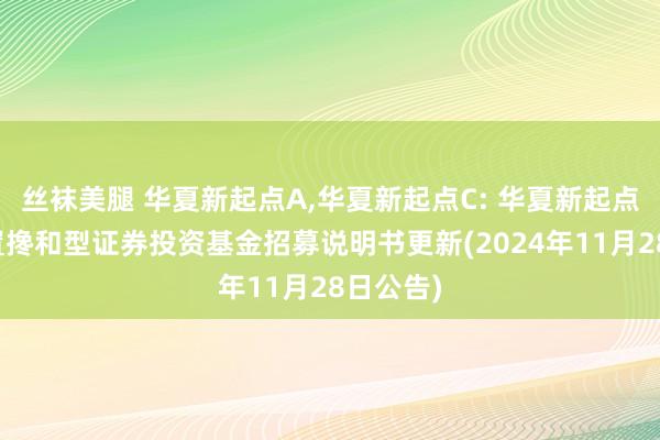 丝袜美腿 华夏新起点A，华夏新起点C: 华夏新起点纯真配置搀和型证券投资基金招募说明书更新(2024年11月28日公告)