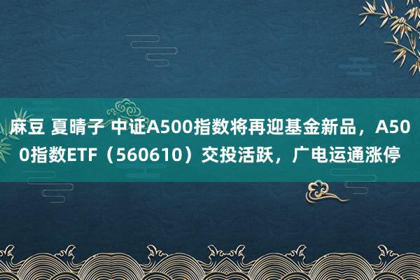 麻豆 夏晴子 中证A500指数将再迎基金新品，A500指数ETF（560610）交投活跃，广电运通涨停