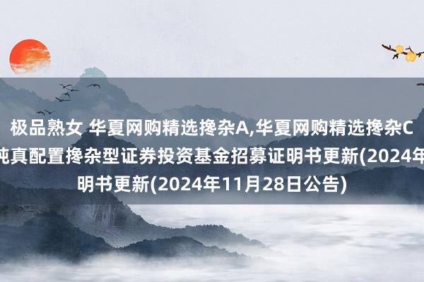 极品熟女 华夏网购精选搀杂A，华夏网购精选搀杂C: 华夏网购精选纯真配置搀杂型证券投资基金招募证明书更新(2024年11月28日公告)