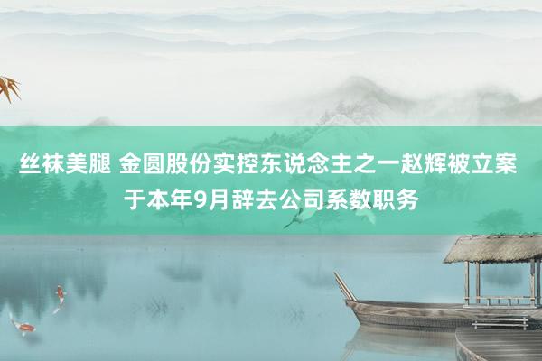 丝袜美腿 金圆股份实控东说念主之一赵辉被立案 于本年9月辞去公司系数职务