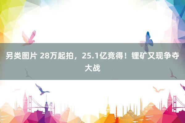 另类图片 28万起拍，25.1亿竞得！锂矿又现争夺大战