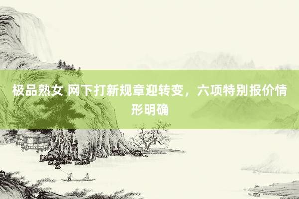 极品熟女 网下打新规章迎转变，六项特别报价情形明确