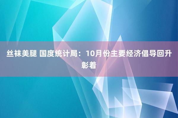 丝袜美腿 国度统计局：10月份主要经济倡导回升彰着