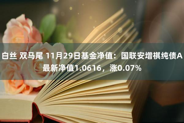 白丝 双马尾 11月29日基金净值：国联安增祺纯债A最新净值1.0616，涨0.07%