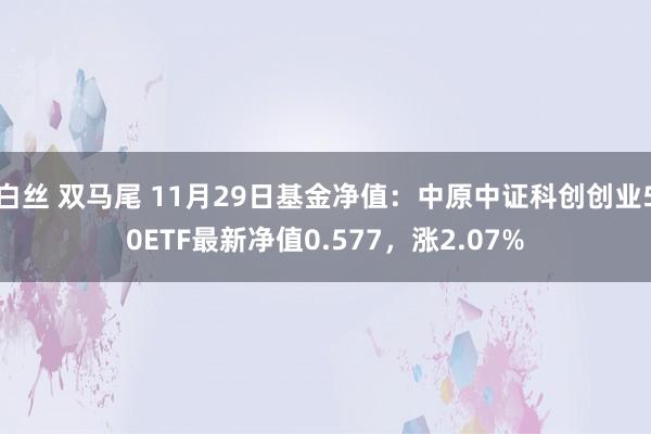 白丝 双马尾 11月29日基金净值：中原中证科创创业50ETF最新净值0.577，涨2.07%