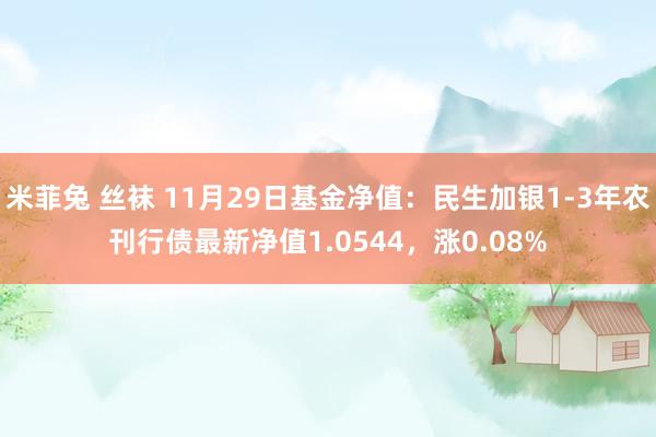 米菲兔 丝袜 11月29日基金净值：民生加银1-3年农刊行债最新净值1.0544，涨0.08%