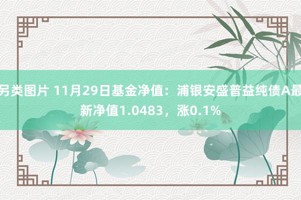 另类图片 11月29日基金净值：浦银安盛普益纯债A最新净值1.0483，涨0.1%