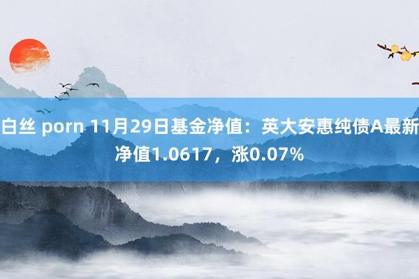 白丝 porn 11月29日基金净值：英大安惠纯债A最新净值1.0617，涨0.07%