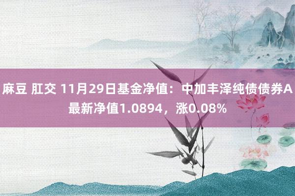 麻豆 肛交 11月29日基金净值：中加丰泽纯债债券A最新净值1.0894，涨0.08%