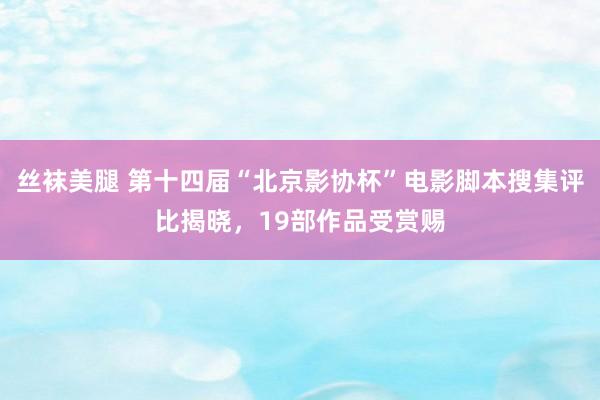 丝袜美腿 第十四届“北京影协杯”电影脚本搜集评比揭晓，19部作品受赏赐