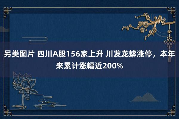 另类图片 四川A股156家上升 川发龙蟒涨停，本年来累计涨幅近200%