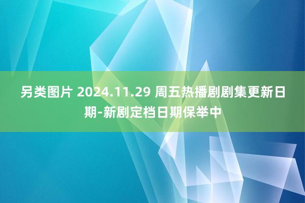 另类图片 2024.11.29 周五热播剧剧集更新日期-新剧定档日期保举中