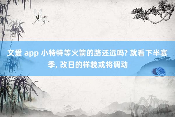 文爱 app 小特特等火箭的路还远吗? 就看下半赛季， 改日的样貌或将调动