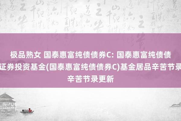 极品熟女 国泰惠富纯债债券C: 国泰惠富纯债债券型证券投资基金(国泰惠富纯债债券C)基金居品辛苦节录更新
