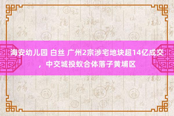 海安幼儿园 白丝 广州2宗涉宅地块超14亿成交，中交城投蚁合体落子黄埔区