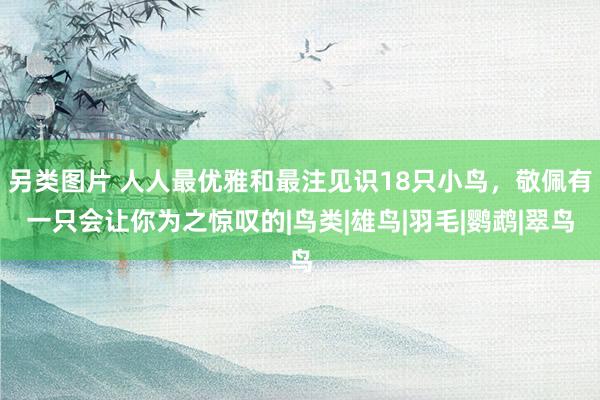 另类图片 人人最优雅和最注见识18只小鸟，敬佩有一只会让你为之惊叹的|鸟类|雄鸟|羽毛|鹦鹉|翠鸟