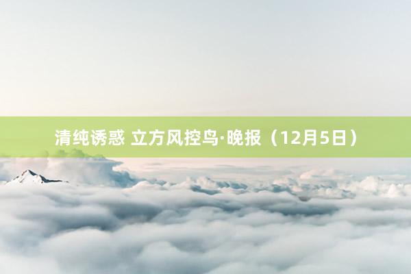 清纯诱惑 立方风控鸟·晚报（12月5日）