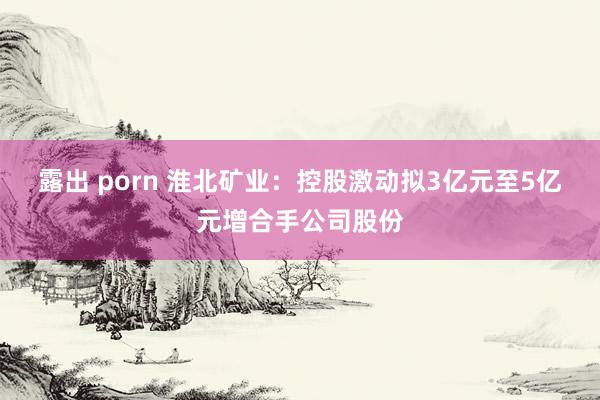 露出 porn 淮北矿业：控股激动拟3亿元至5亿元增合手公司股份