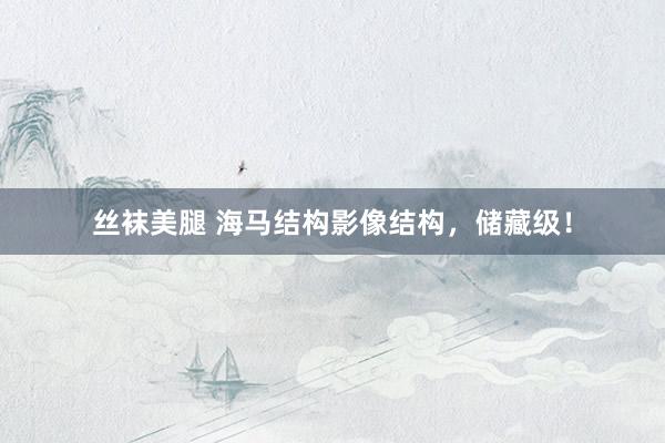 丝袜美腿 海马结构影像结构，储藏级！