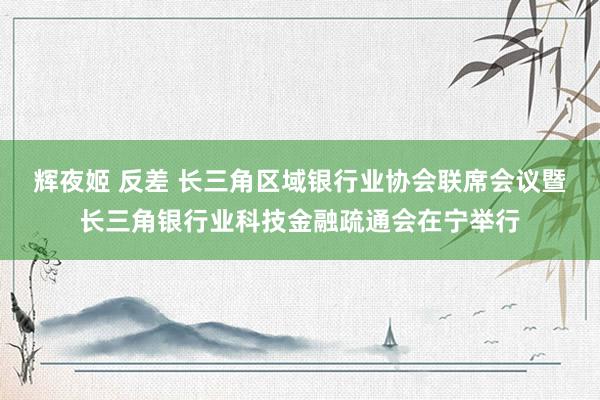辉夜姬 反差 长三角区域银行业协会联席会议暨长三角银行业科技金融疏通会在宁举行