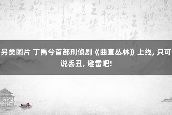 另类图片 丁禹兮首部刑侦剧《曲直丛林》上线， 只可说丢丑， 避雷吧!