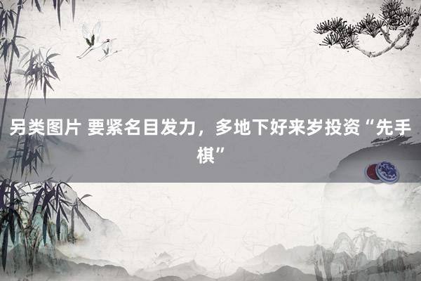 另类图片 要紧名目发力，多地下好来岁投资“先手棋”