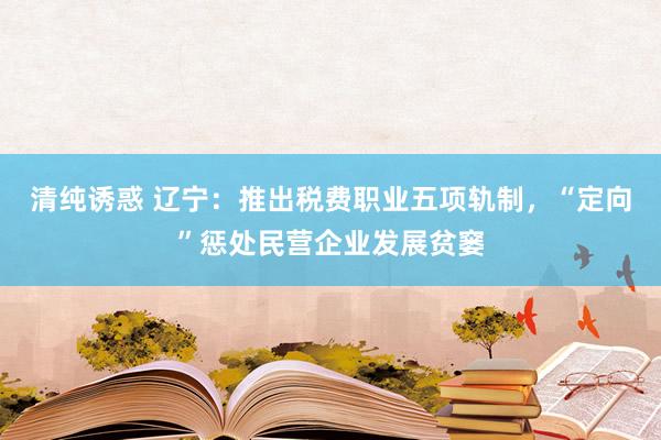 清纯诱惑 辽宁：推出税费职业五项轨制，“定向”惩处民营企业发展贫窭