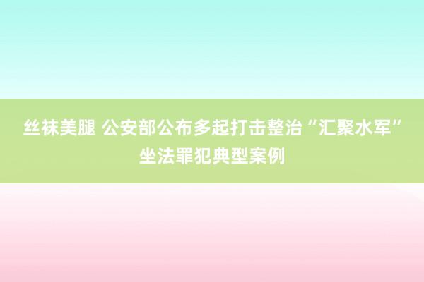 丝袜美腿 公安部公布多起打击整治“汇聚水军”坐法罪犯典型案例